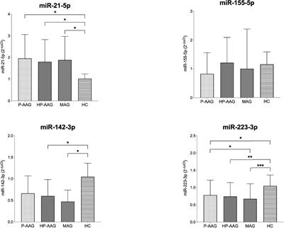 Autoimmune Atrophic Gastritis: The Role of miRNA in Relation to Helicobacter Pylori Infection